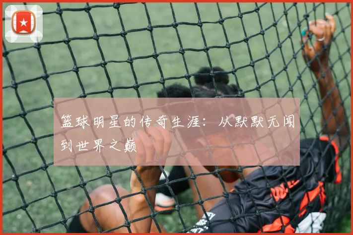 完美体育官网在线登录